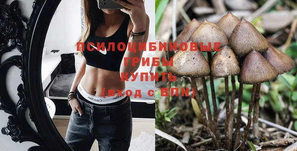 не бодяженный Абаза