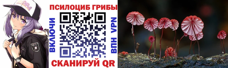 Галлюциногенные грибы прущие грибы  где продают наркотики  Плавск 
