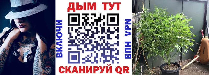блэк спрут как зайти  Плавск  Канабис семена 